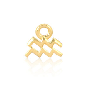 Aquarius Gold Charm