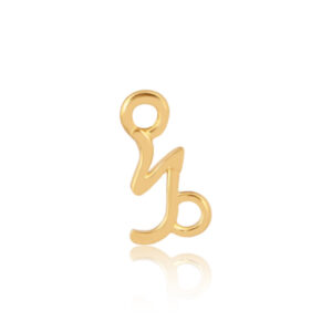 Capricorn Gold Charm