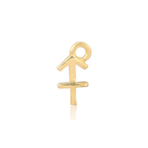 Sagittarius Gold Charm