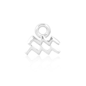 Aquarius Silver Charm