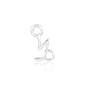 Capricorn Silver Charm