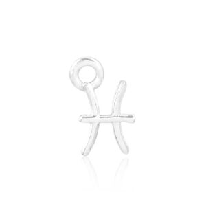 Pisces Silver Charm