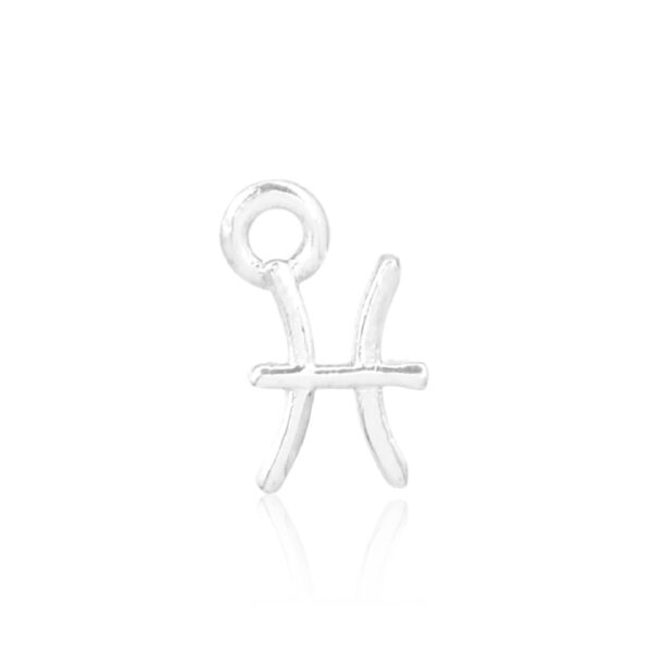 Pisces Silver Charm