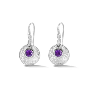 Hammered Disc & Amethyst Array Earrings